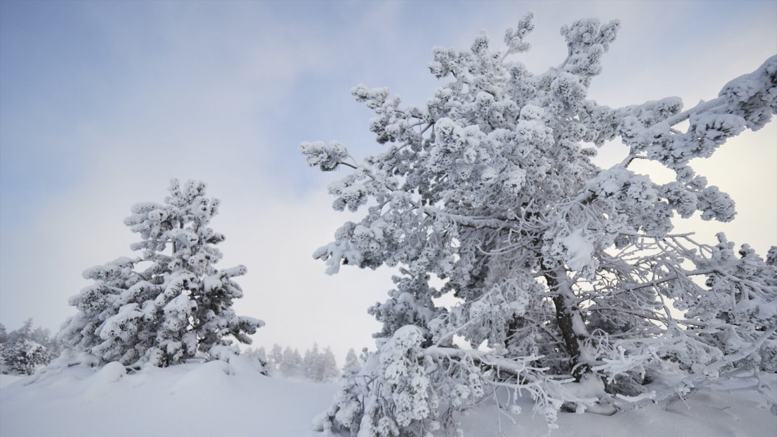 Solsticio De Invierno Qu Es Y Cu Ndo Se Produce