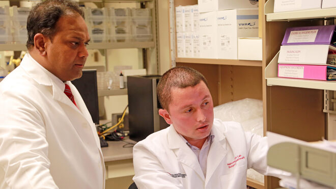 El doctor Chandan Sen (izquierda) examina datos de la investigación con el doctor Daniel Gallego-Perez