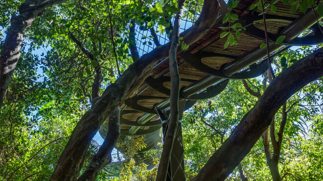 El ‘Centenary Tree Canopy Walkway’ es un nuevo puente curvo de acero y madera