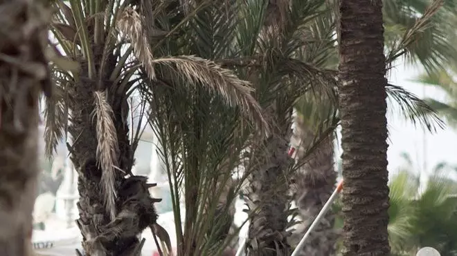 MÁLAGA, 01/11/2017.- El actor Antonio Banderas (de blanco) durante el rodaje en la playa de La Misericordia de Málaga de la serie "Genius: Picasso"; producida por National Geographic y Fox 21, y donde él da vida al pintor malagueño.
