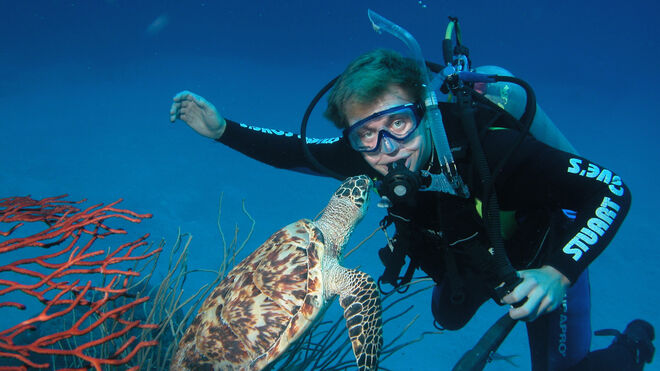 La fauna marina de Bahamas es impresionante y se vive muy de cerca a la hora de hacer submarinismo.