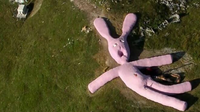 Vista aérea de un conejo rosa en Italia.