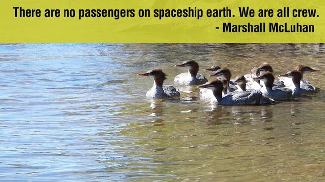 ‘Spaceship Earth’ (‘Nave espacial Tierra’) se convirtió en un poderoso símbolo para los grupos ecologistas.