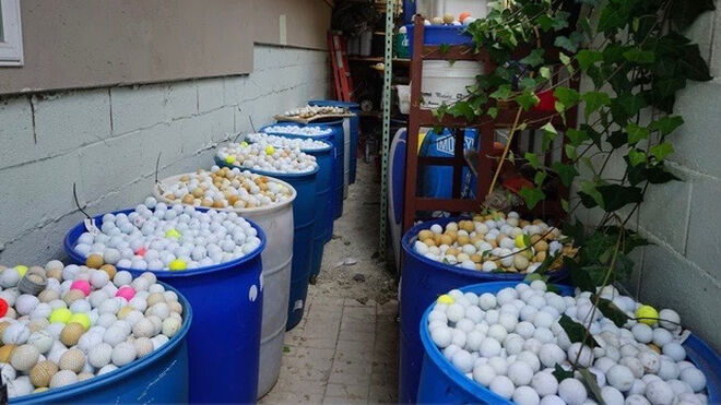 Algunas de las pelotas recogidas por los voluntarios