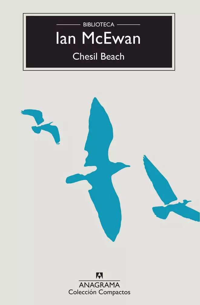 Detalle de la cubierta de Chesil beach.