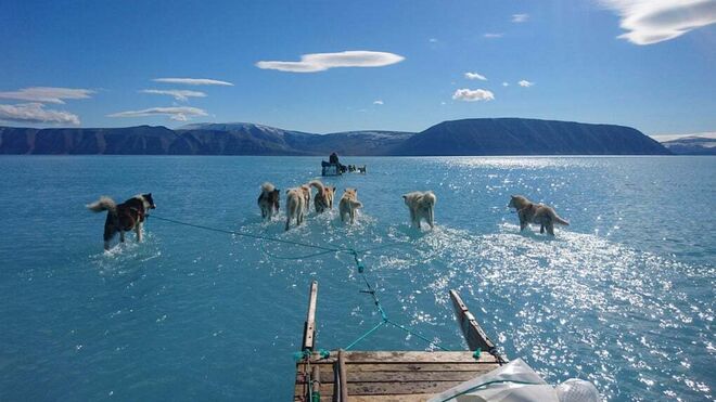 La increíble foto en Groenlandia que muestra la cruda realidad del deshielo marino