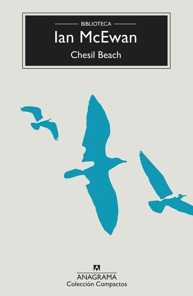 Detalle de la cubierta de Chesil Beach.