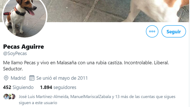 Twitter de perro de Esperanza Aguirre que ideó y gestionó Díaz Ayuso.