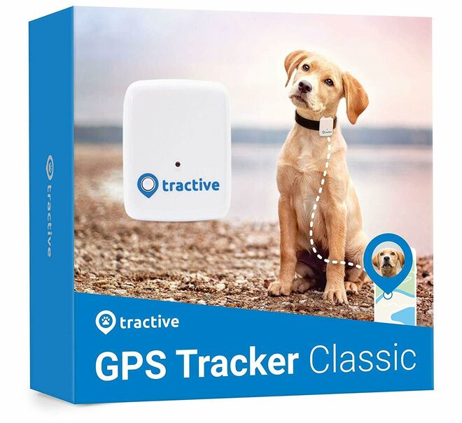 GPS para perro: los mejores que puedes comprar en