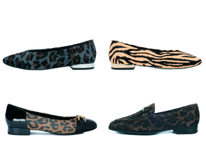 GIOSEPPO Zapato leopardo azul PVP: 54.95€ // GIOSEPPO Zapato tigre PVP: 54.95€ // GEOX Zapato leopardo y charol // UNISA Zapato leopardo con hebilla