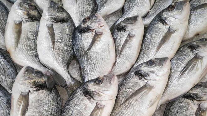 Sanidad recomienda reducir el consumo de pescado