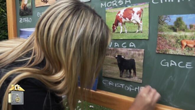 Oriana escribe el nombre de Christofer debajo de un toro.