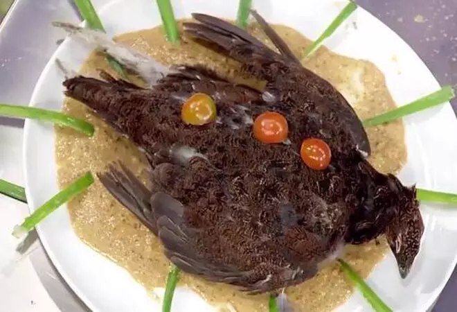El plato de Saray, con un pájaro muerto.
