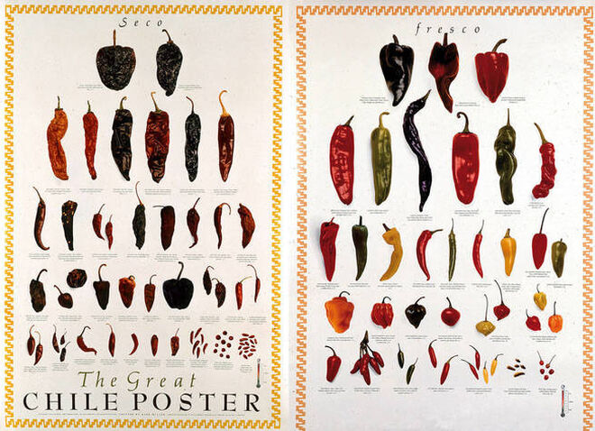 Póster que ilustra los distintos tipos de chile en el mundo.