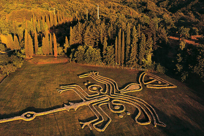 Vista aérea del laberinto antropomorfo en el jardín del artista suizo Daniel Spoerri (en Grosseto, Italia).