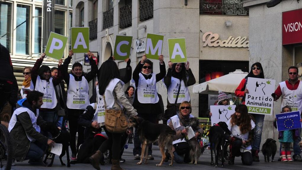 Pacma acusa a Vox de "quitarles" el cierre en Las Ventas para después no acudir