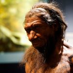 Descubren que los neandertales tenían una capacidad de habla similar a la de los sapiens