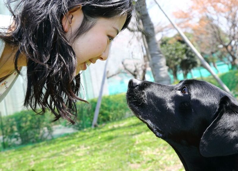 Más de 100.000 perros podrían dejar de ser considerados peligrosos