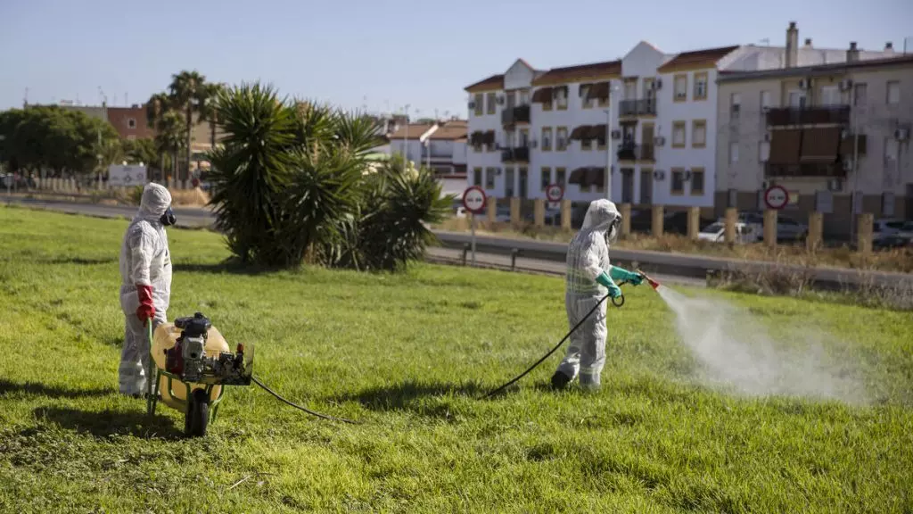 Antes del dengue, llegó a España el Virus del Nilo Occidental.