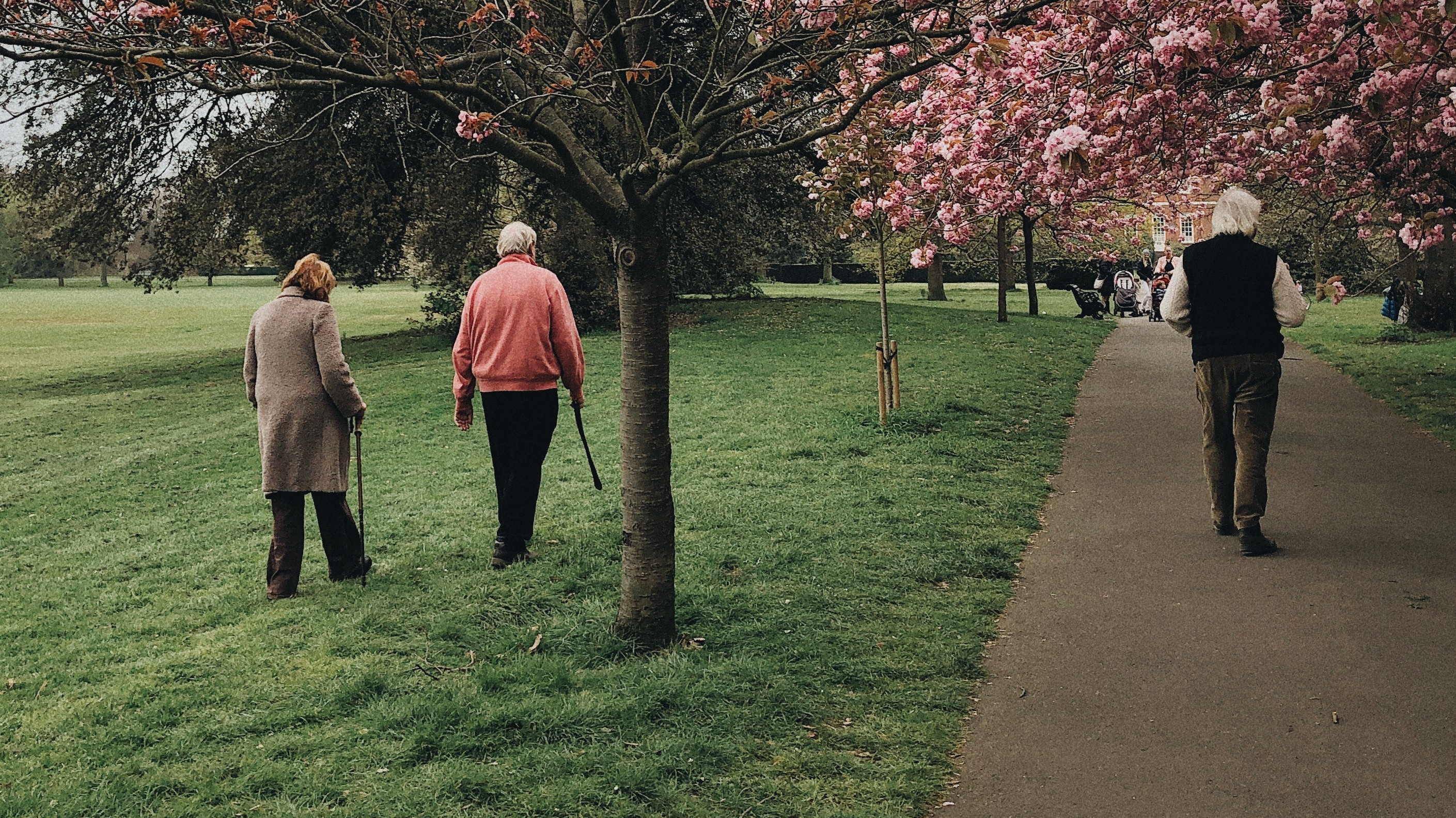Dos ancianos pasean por un parque.