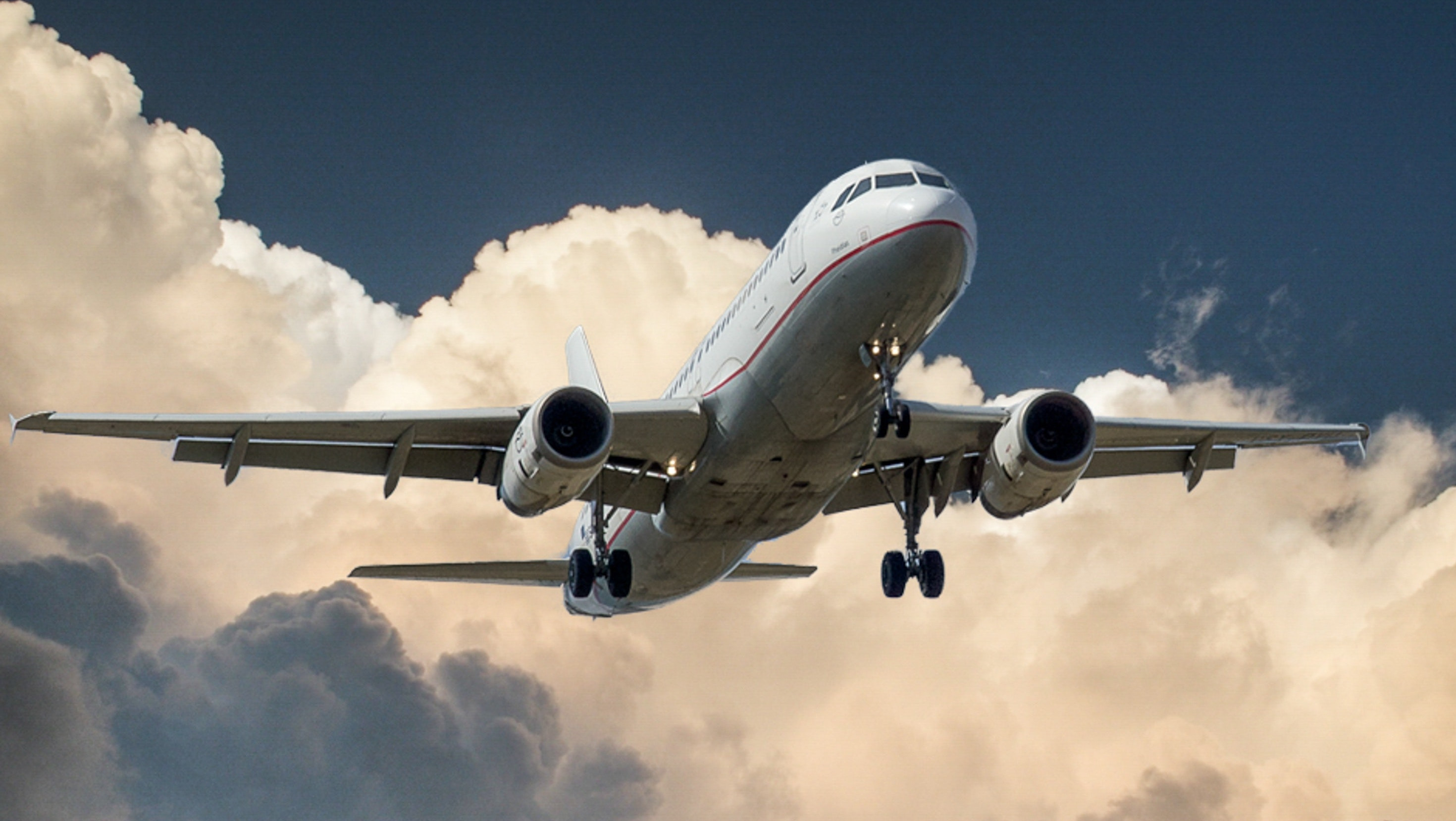 La cifra de pasajeros de avión se deplomó en enero.