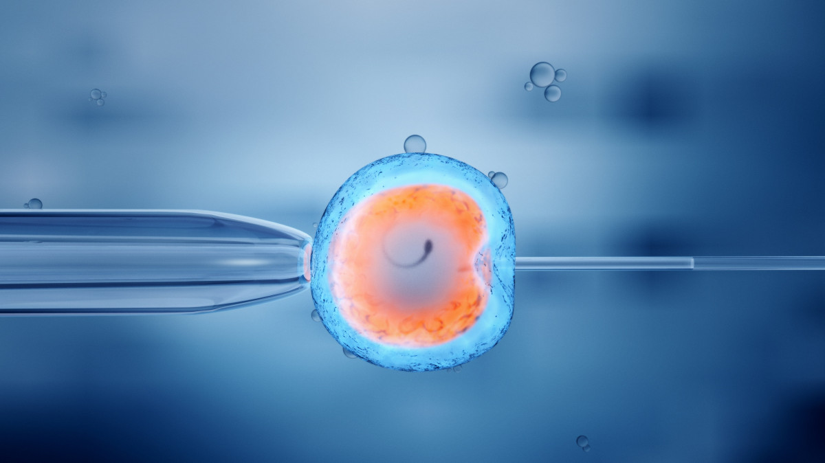 Desarrollan estructuras similares a embriones tempranos con células humanas