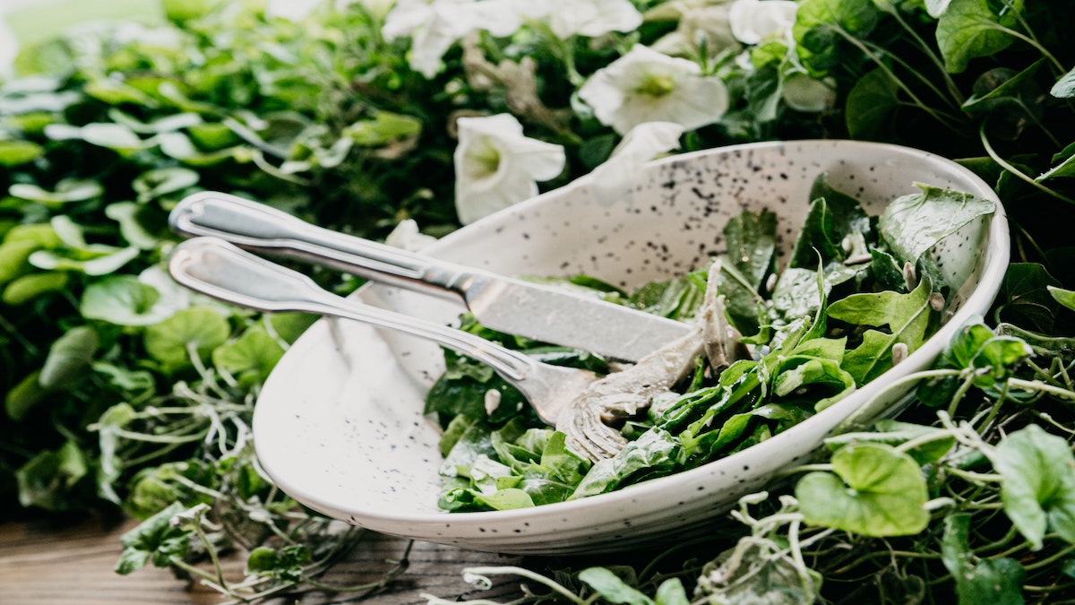 espinacas verdura hortaliza verde nutricion alimentacion