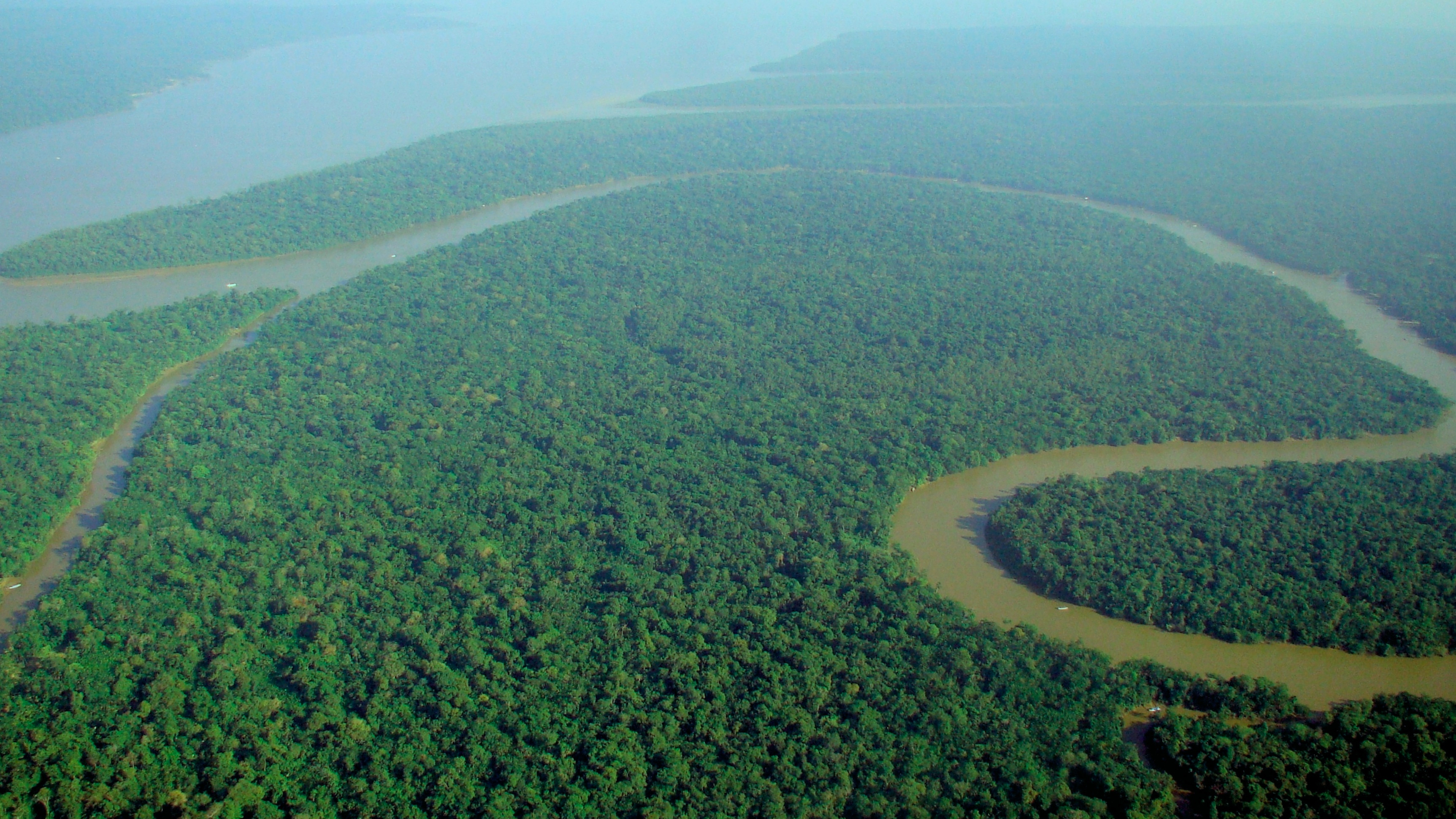 Bosque del Amazonas