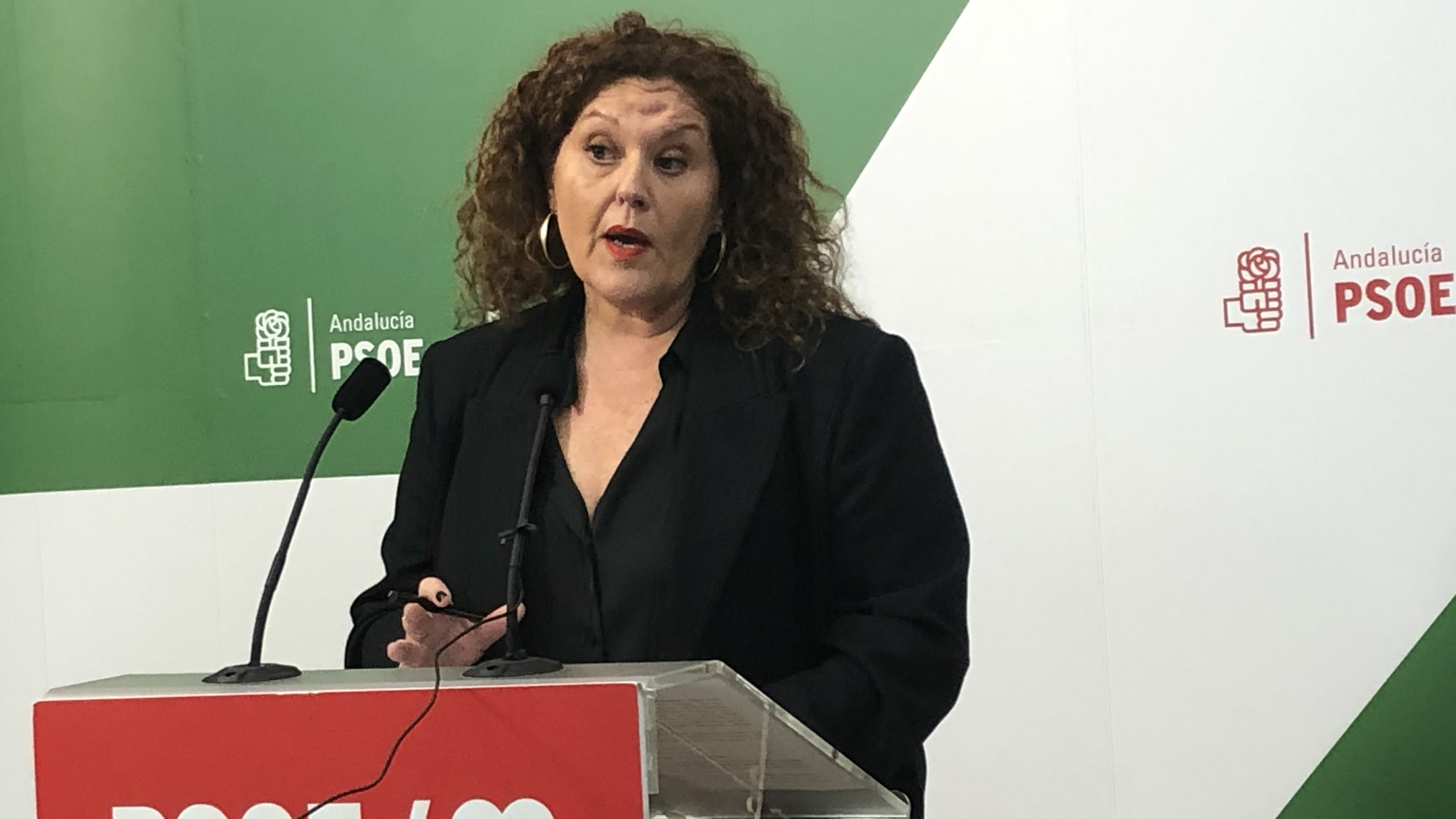 Araceli Maese, parlamentaria del PSOE por Cádiz.