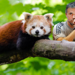 Luis Enrique y el salero del panda rojo