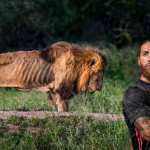 Sergio Ramos y el crepúsculo del león