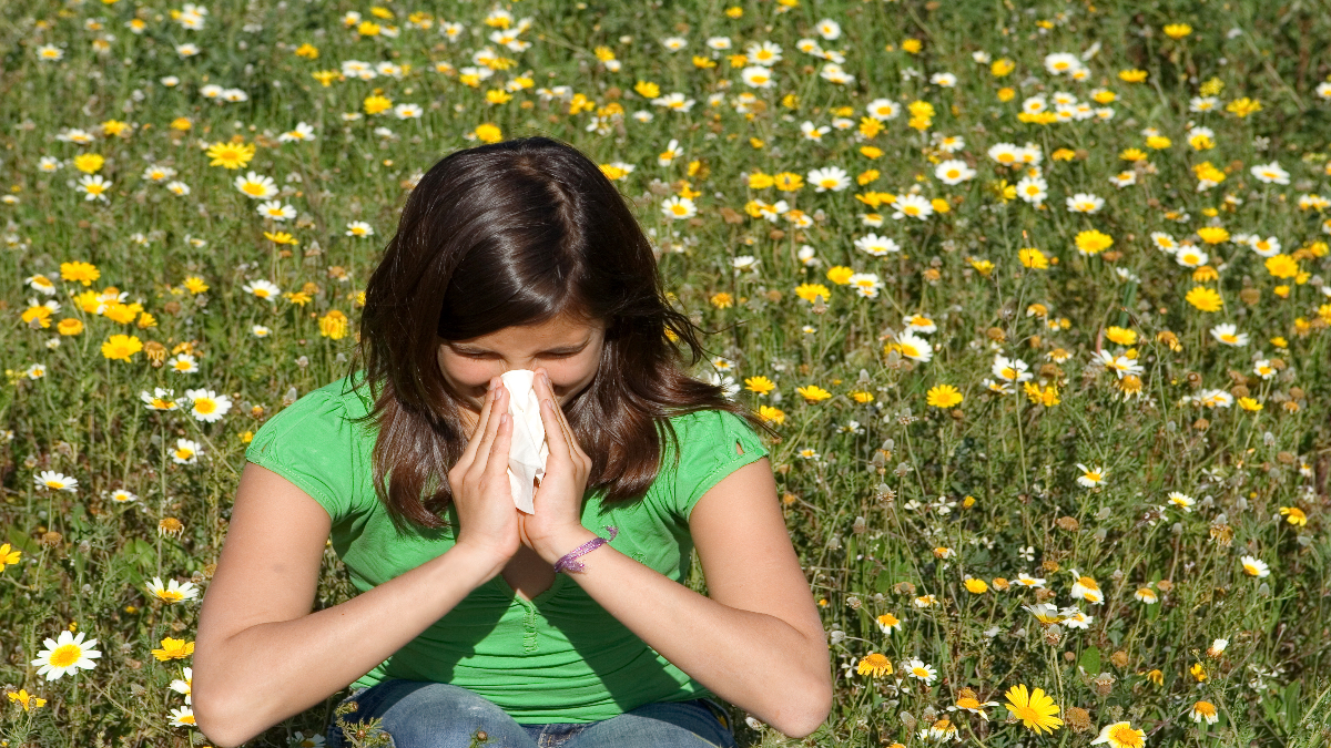 alergia verano polen acaros causas