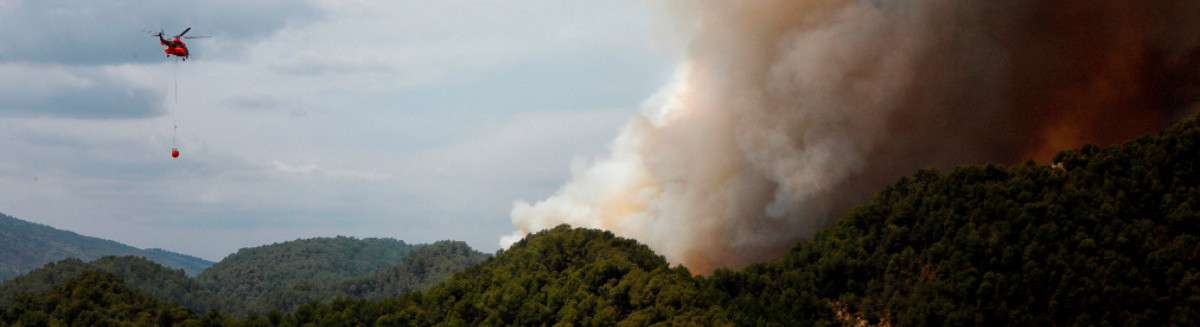 El fuego arrasa con miles de hectáreas en Cataluña, Castilla-La Mancha y Andalucía