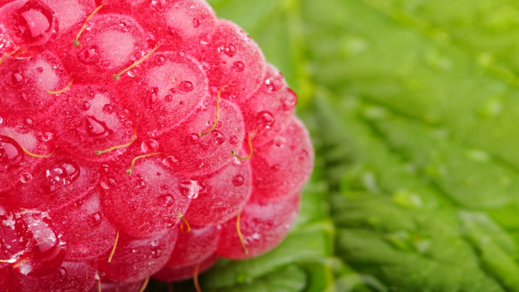 frutos rojos frambuesa fresa verano beneficios