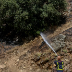 Los incendios en España queman más de 37.500 hectáreas en lo que va de año