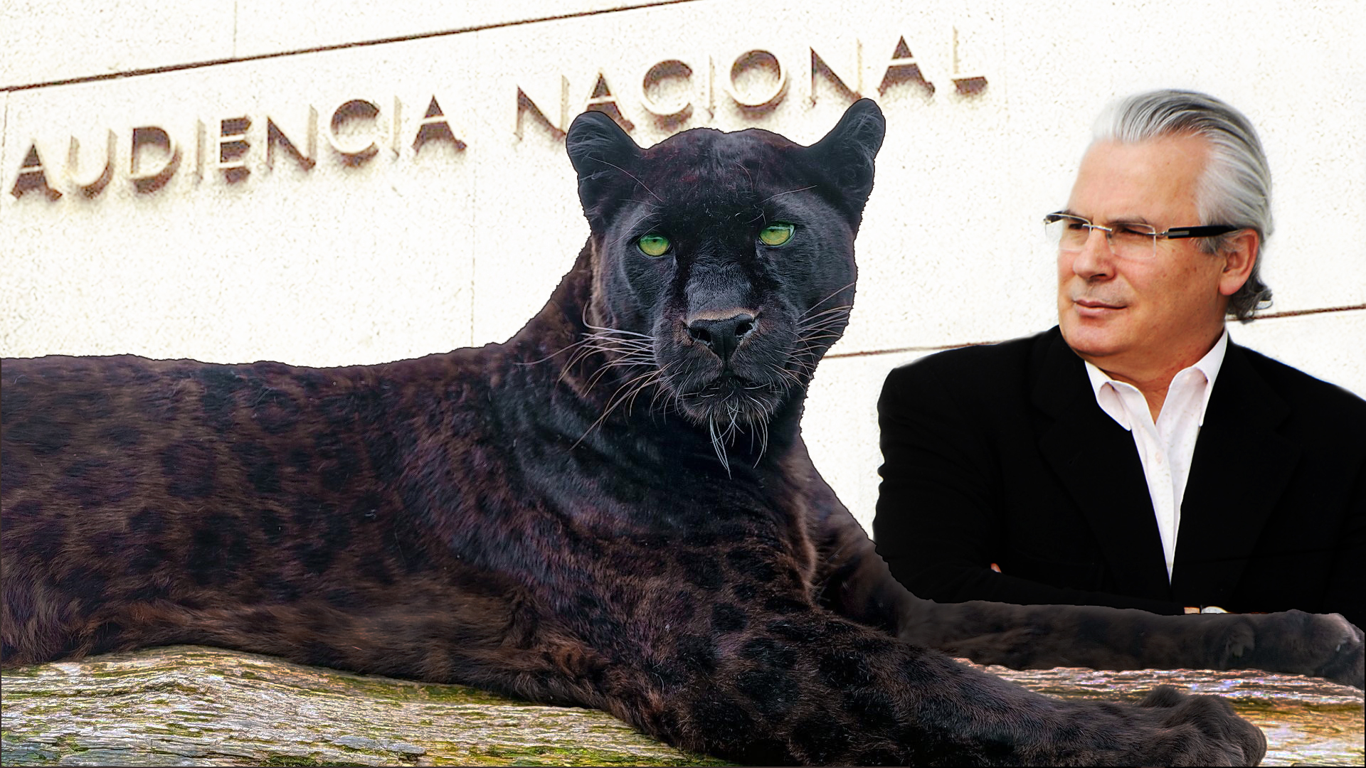 Baltasar Garzón y el regreso del leopardo negro.