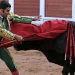 Un adiós polémico: Gijón cancela los toros por el nombre de los reses