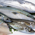 pescados azules beneficios nutricion alimentos