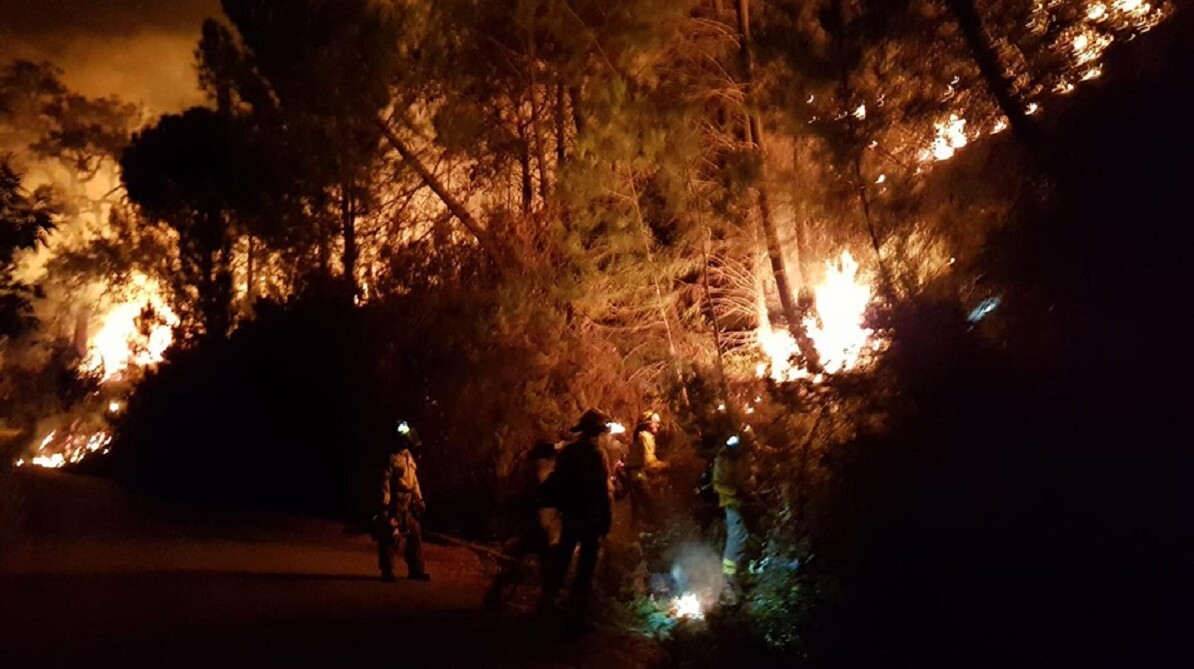 Más de 400 desalojados por un incendio forestal en Sierra Bermeja (Málaga)