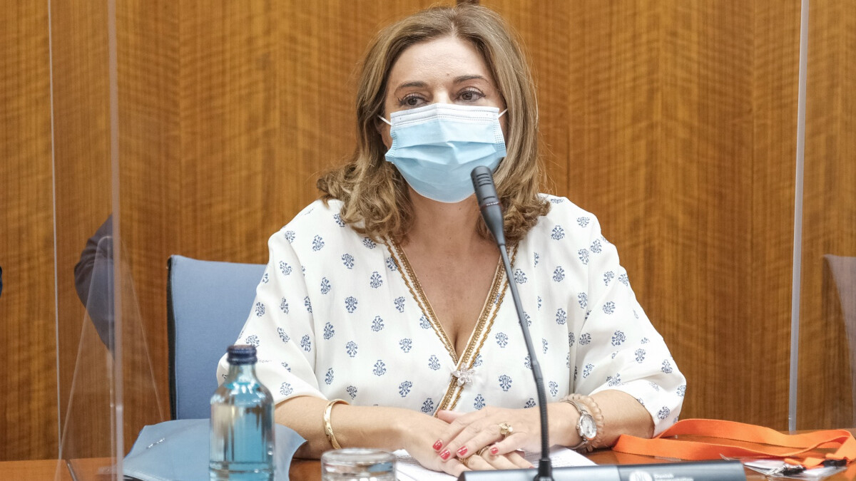 Carmen Ibanco, la mujer de actual líder del PSOE andaluz, Juan Espadas, cuando compareció en el Parlamento de Andalucía el 10 de septiembre.