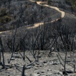 El incendio de Sierra Bermeja arrasa ya con 7.780 hectáreas