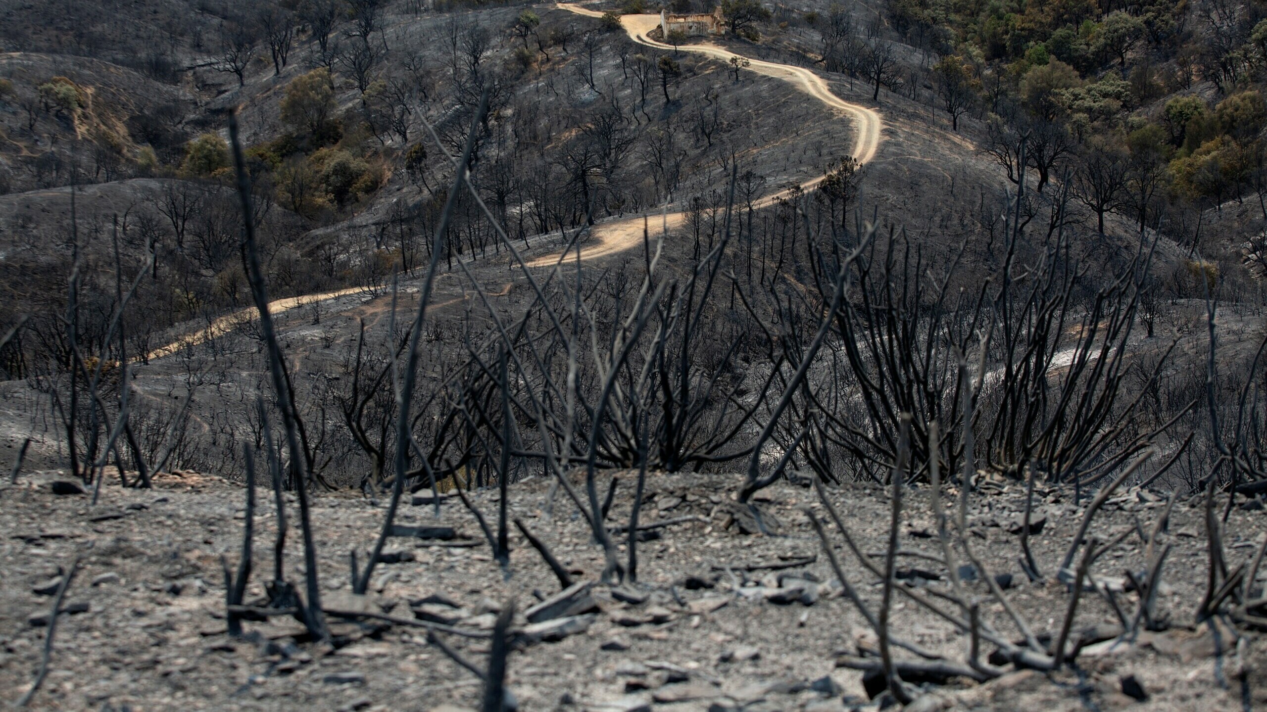 El incendio de Sierra Bermeja arrasa ya con 7.780 hectáreas