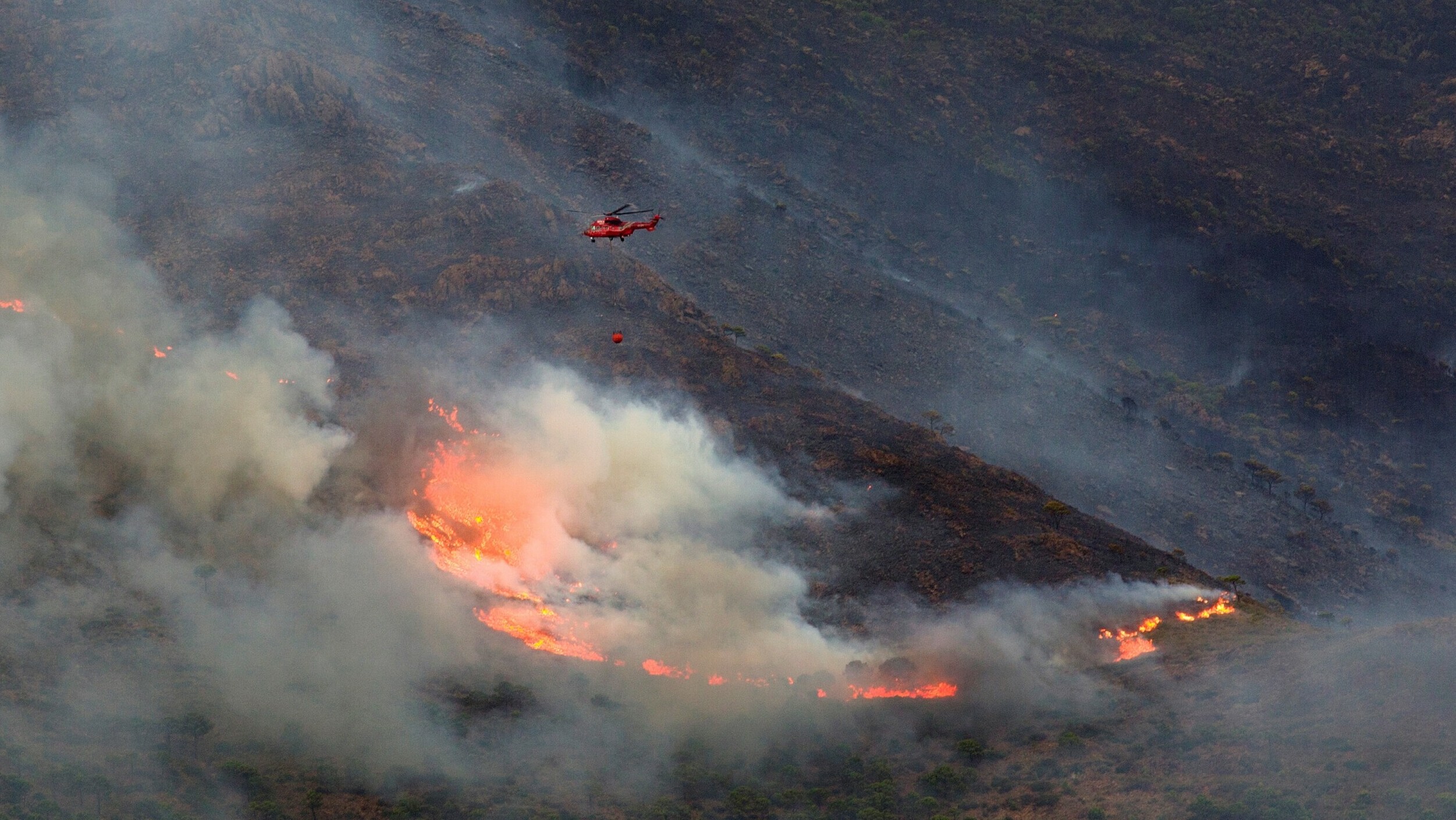 Controlado el incendio forestal en Sierra Bermeja (Málaga)