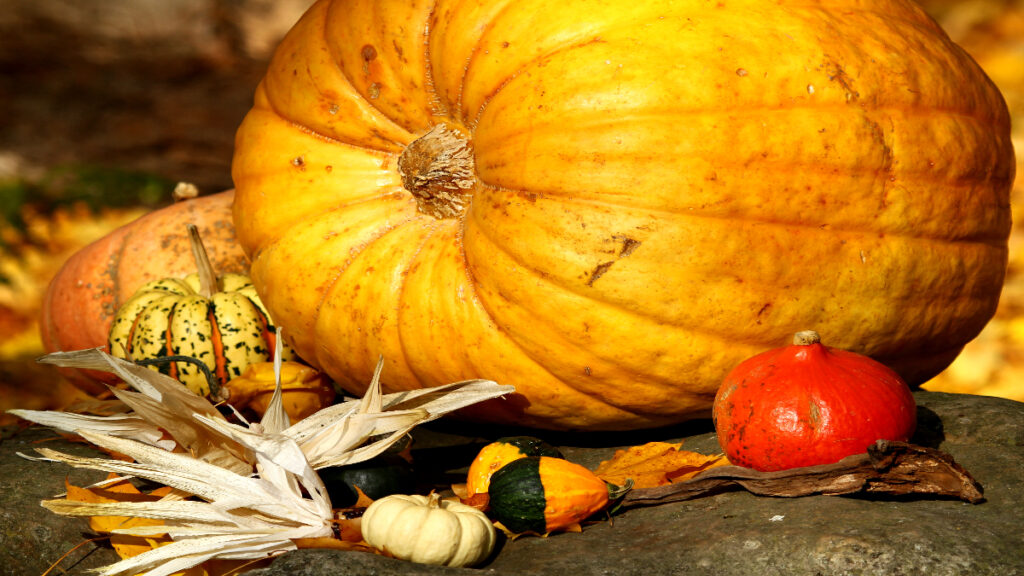 piel alimentos otoño cuidado salud alimentación