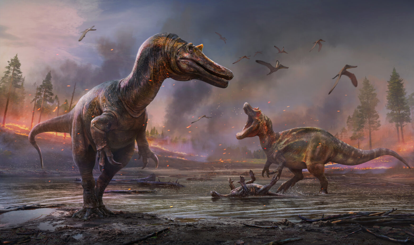 Dinosaurios: Últimas noticias en Vozpópuli