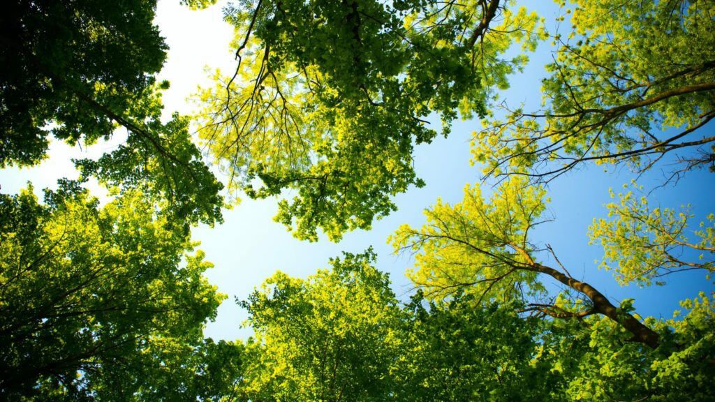 Suben las temperaturas, superando los 30 grados en algunos puntos del país este jueves