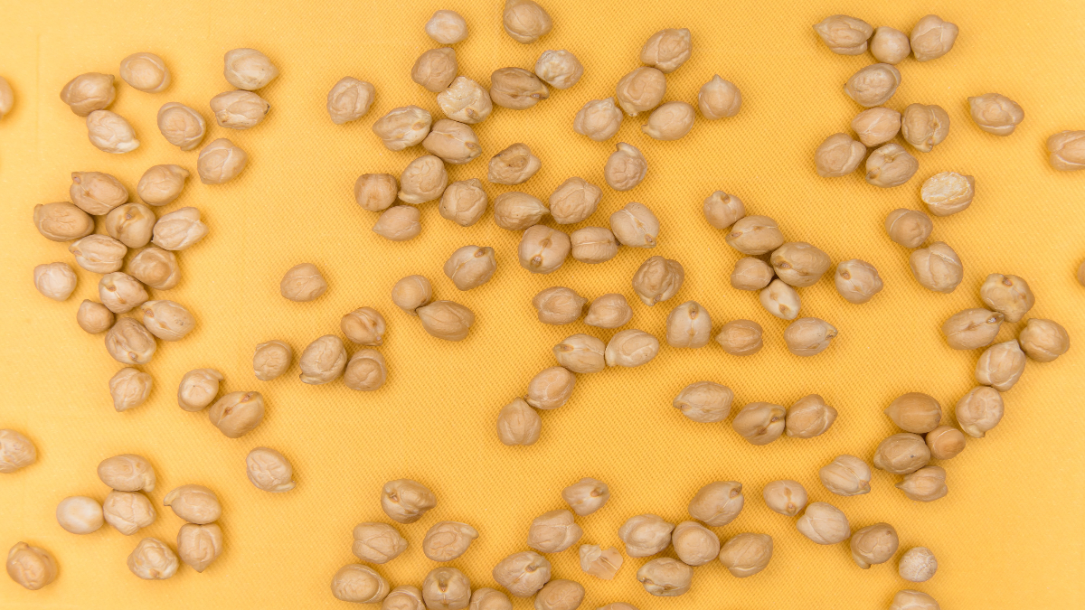 harina de garbanzo harinas maiz trigo alternativa saludable nutricion