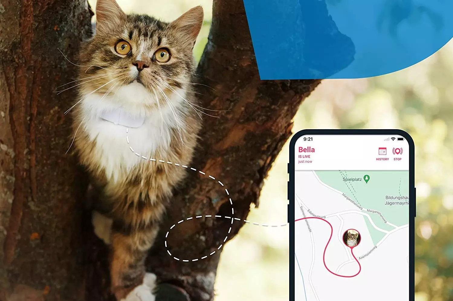  Rastreador GPS para gatos, collar inteligente de