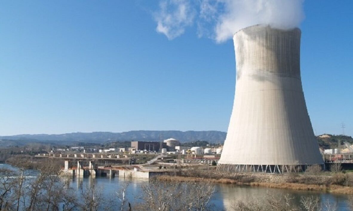 central nuclear asco
