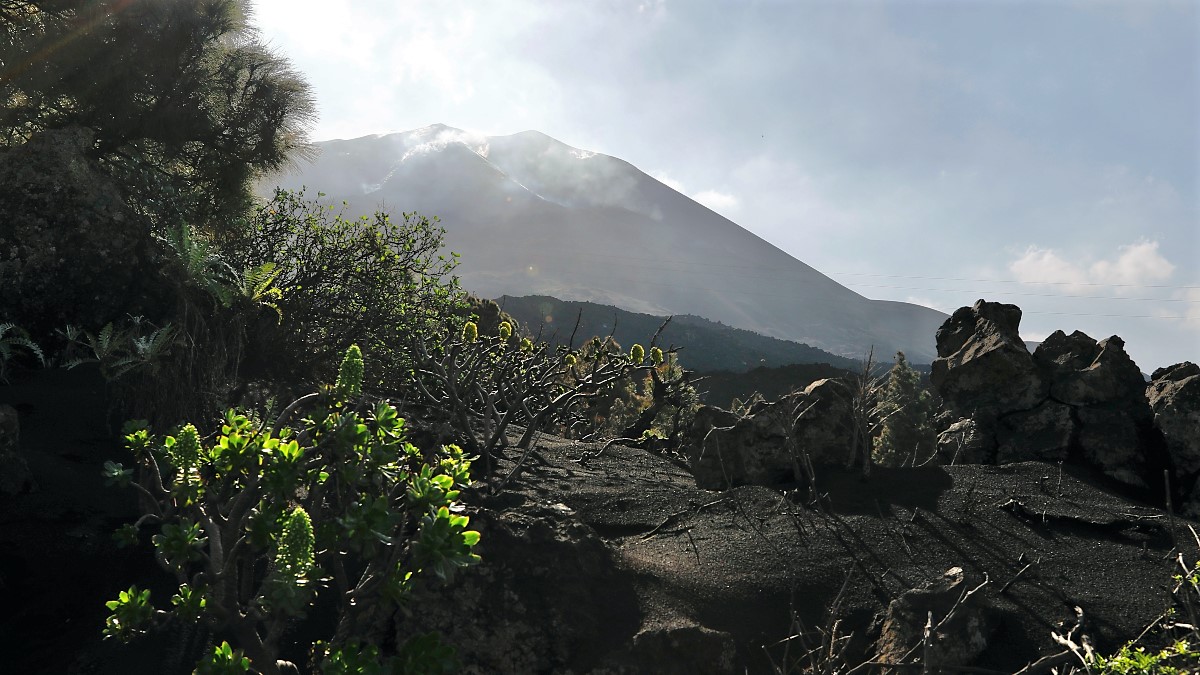 Adiós al volcán de La Palma: los científicos dan por finalizada la erupción